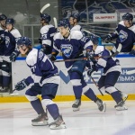 «Идём сражаться!»: презентация команды «Зауралье» образца сезона 2025/2026